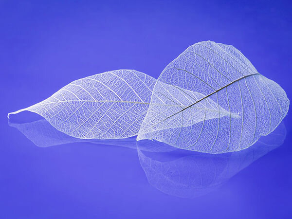 Ссылка на источник изображения: https://cs11.livemaster.ru/storage/topic/NxN/c1/e2/664980c1cd0a6185f37476aadb2939723a85m1.jpg?h=fOtcc81b__iR9Nu7W7oOFA