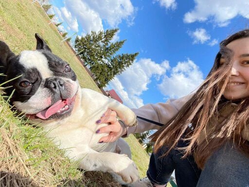 На фото Чуп и он ищет дом https://vk.com/topic-144285450_48561601