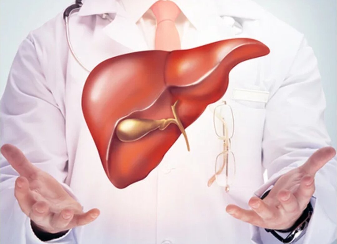 Печень быстро восстанавливается, но всему есть предел. Фото из открытых источников. 