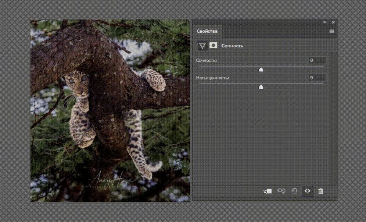 Придайте картинке сочность