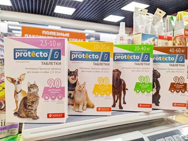 Протекто в продаже в магазине