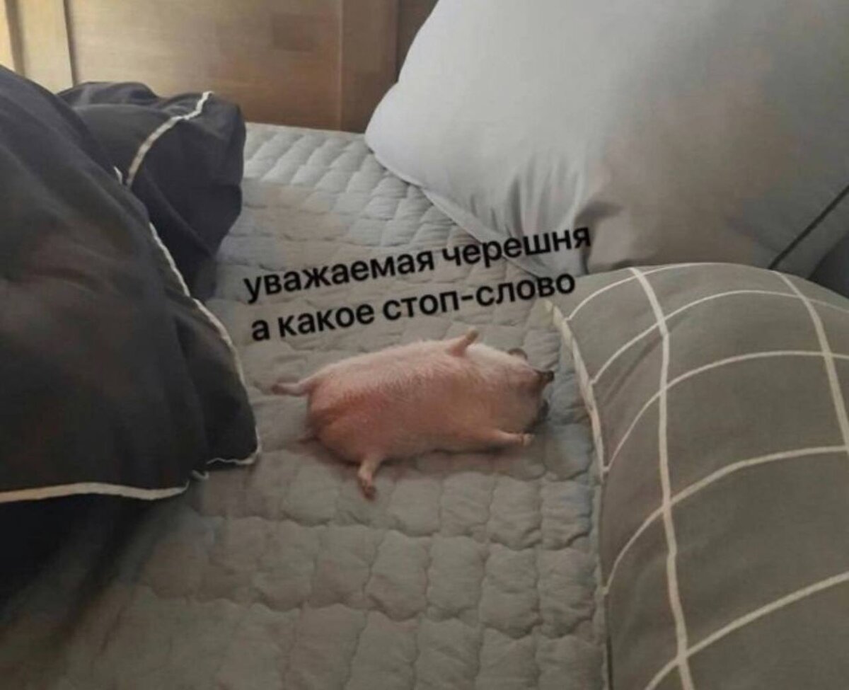 Съем всю черешню, которую дадут!