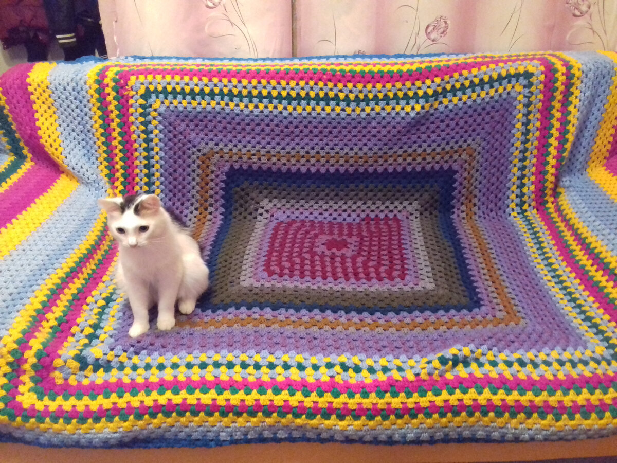 Личное фото автора