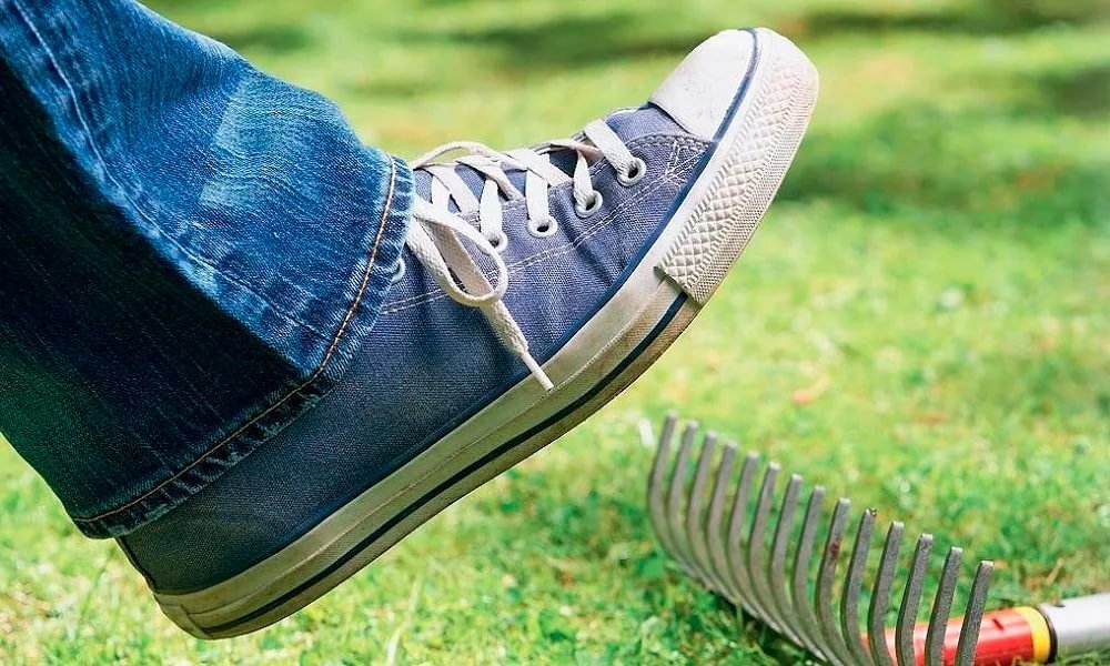 фото: spb.proforientator