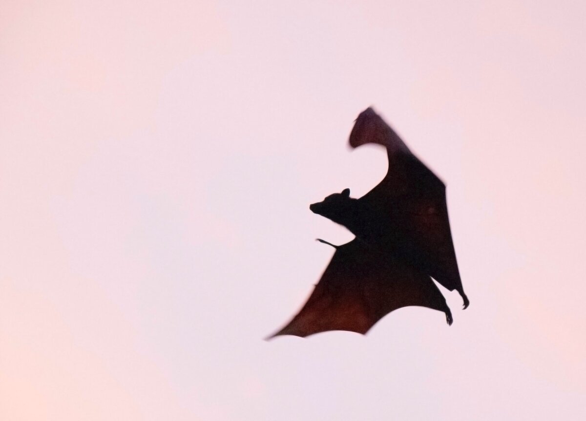   unsplash.com