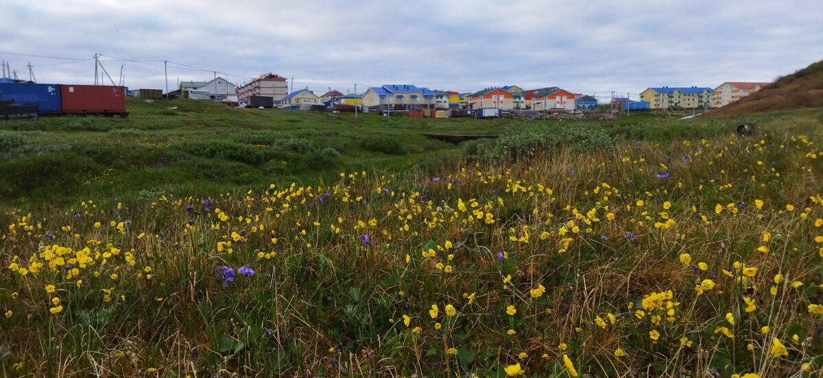 Село Сеяха. Июль 2022г. Фото автора. 