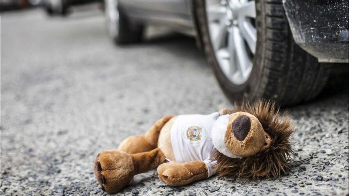 Родители прилетели ночным рейсом. Но было уже поздно...