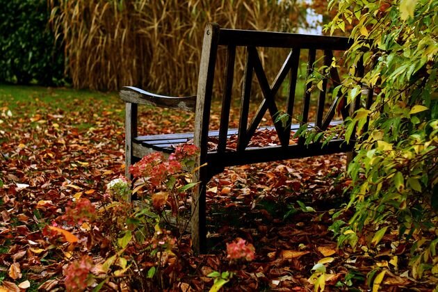 Чем удобрить землю в саду: готовим листовой перегной