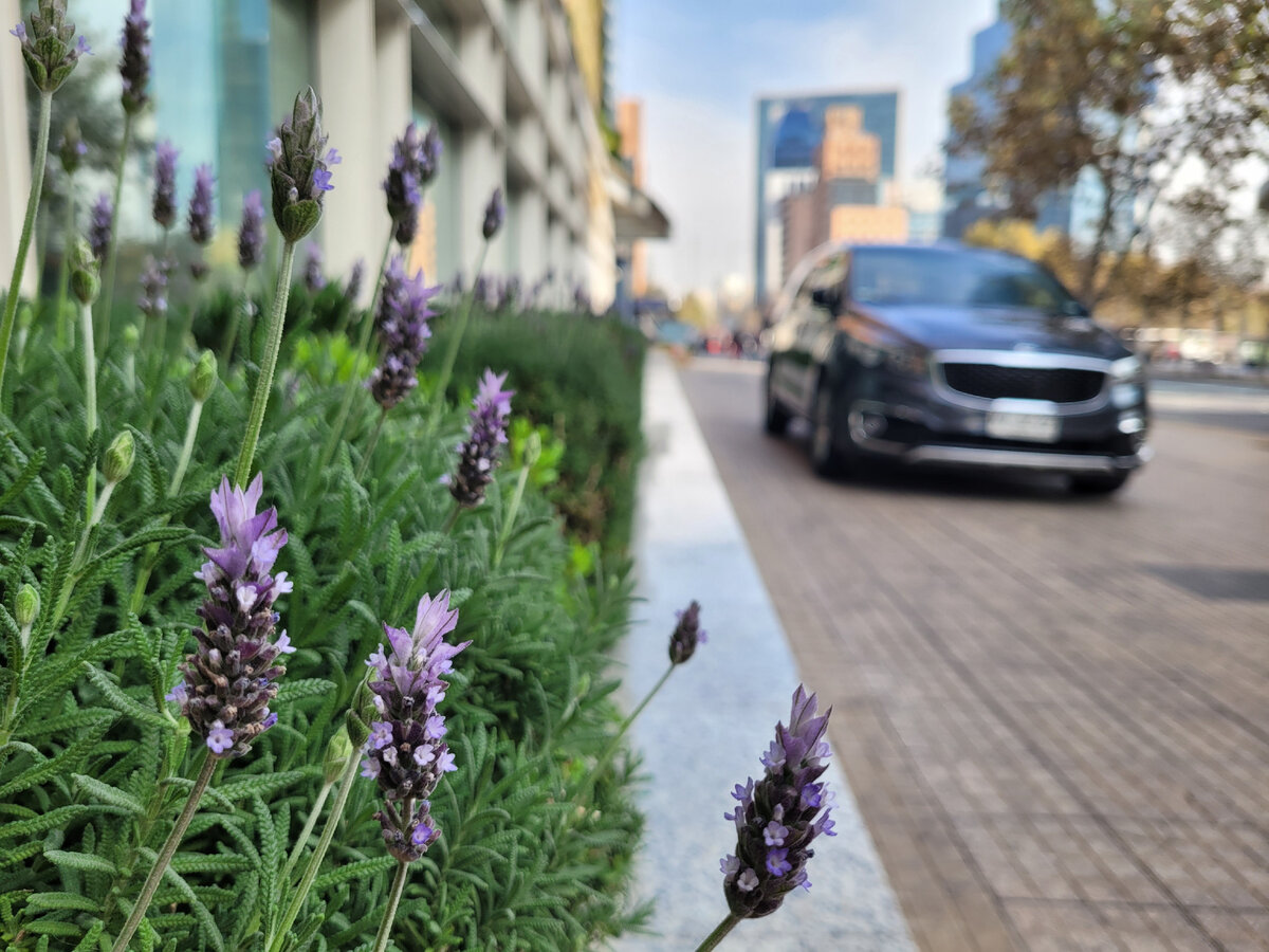 Улицы Сантьяго