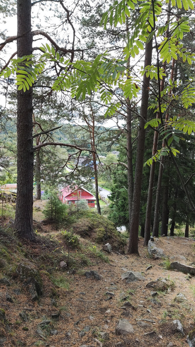 Подъем начинается напротив красного домика