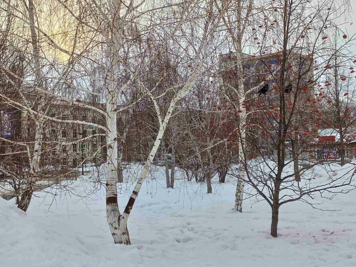 Фото автора.