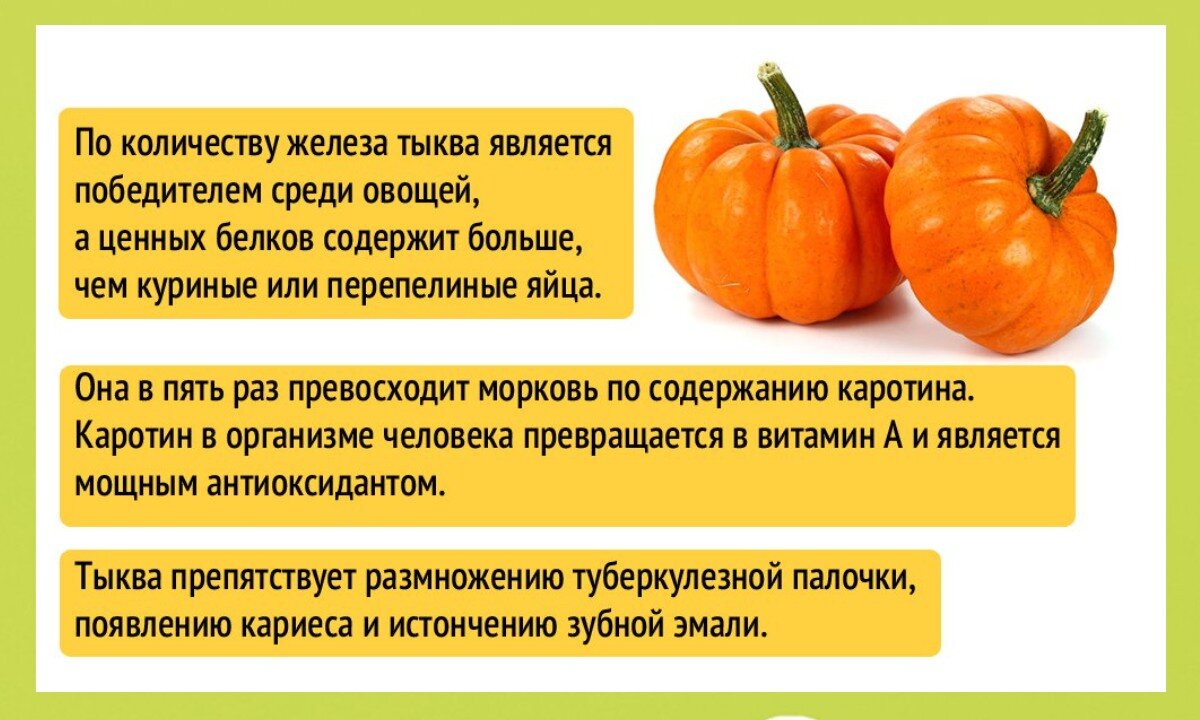 Чем полезна тыква для организма
