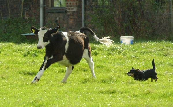 Тебя предупреждали не ложиться на краю? Так вот, подставляй бочок, кусать буду! 