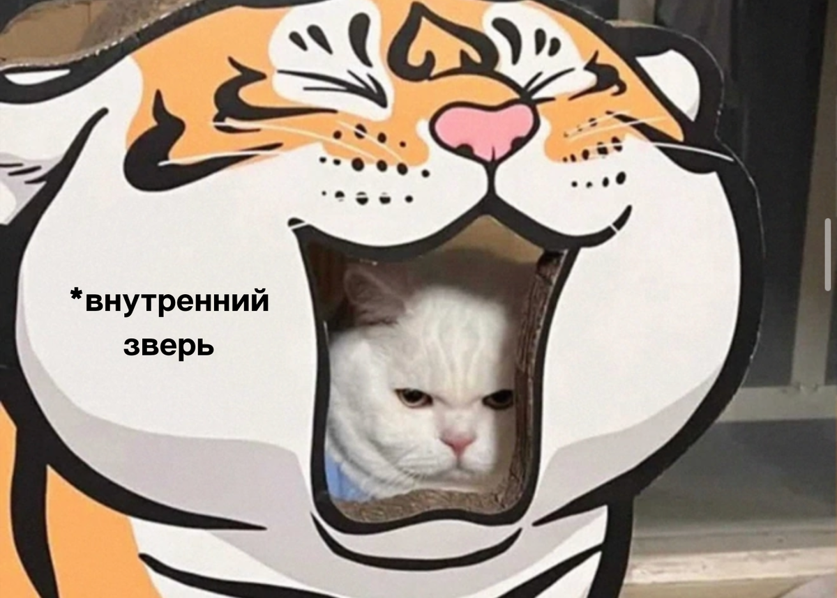 Правильный настрой — залог победы