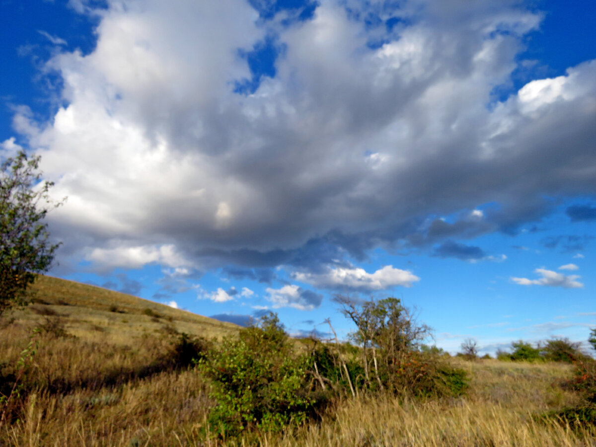 По пути на виноградник.