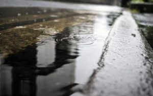    Фото: pixabay.com Анна Норкина