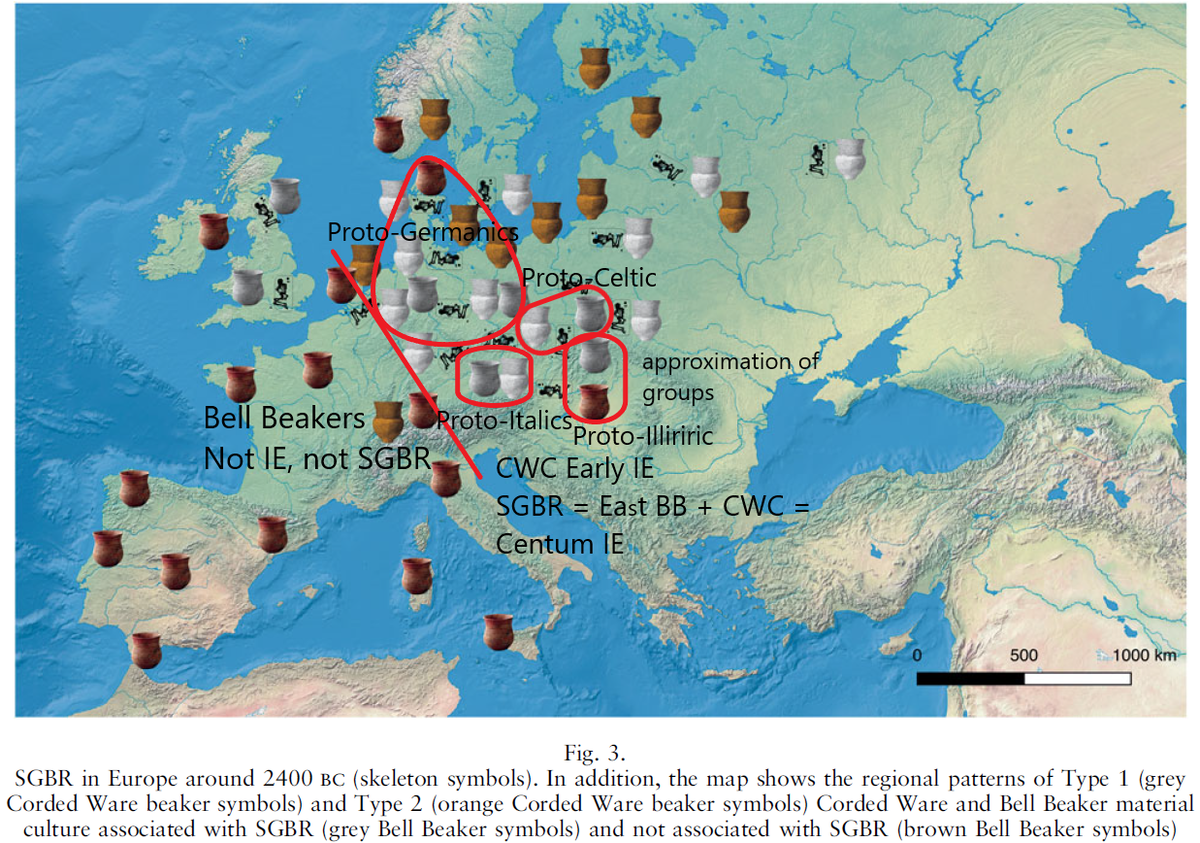 Фурнхольт о второй стадии SGBR (первая чисто шнуровая, бикеров нет) - смешения шнуровиков и бикеров. Остроконечные горшки - шнуровики, круглодонные - бикеры, скелеты у серых горшков - шнуровой тип захоронений в виде одиночных могил, у коричневых горшков не одиночные могилы (на периферии). Все круглодонные без скелетов не индоевропейцы, красным показана разделительная линия, а также предполагаемые места происхождения кентумных языков. В Британии переселение шло из Нидерландов, где бикеры переняли элементы шнуровой культуры.