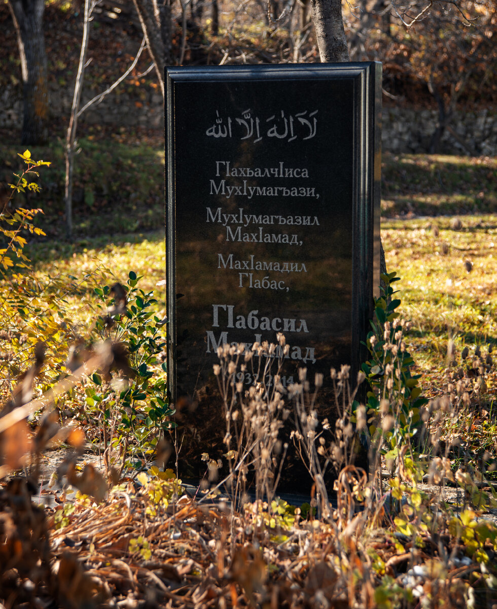 Дом Абасил Магомеда в Тлайлухе: место, где живет любовь и покой | Опять  уехала | Дзен