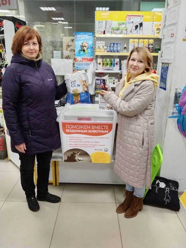     фото: инициативная группа по защите животных