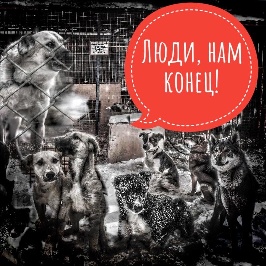 Нам нужна помощь