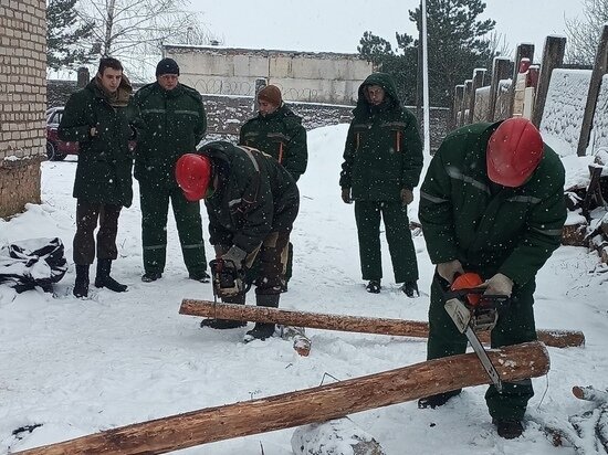     Фото vk.com/lessmolensk67
