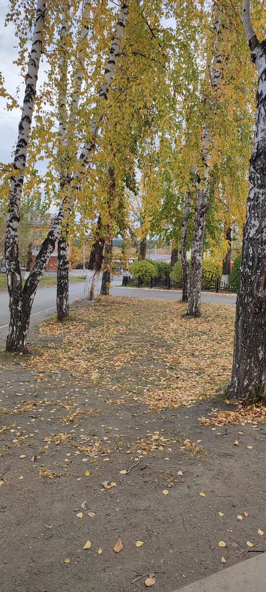 Фото автора. 