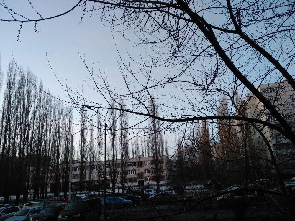 Весеннее утро
