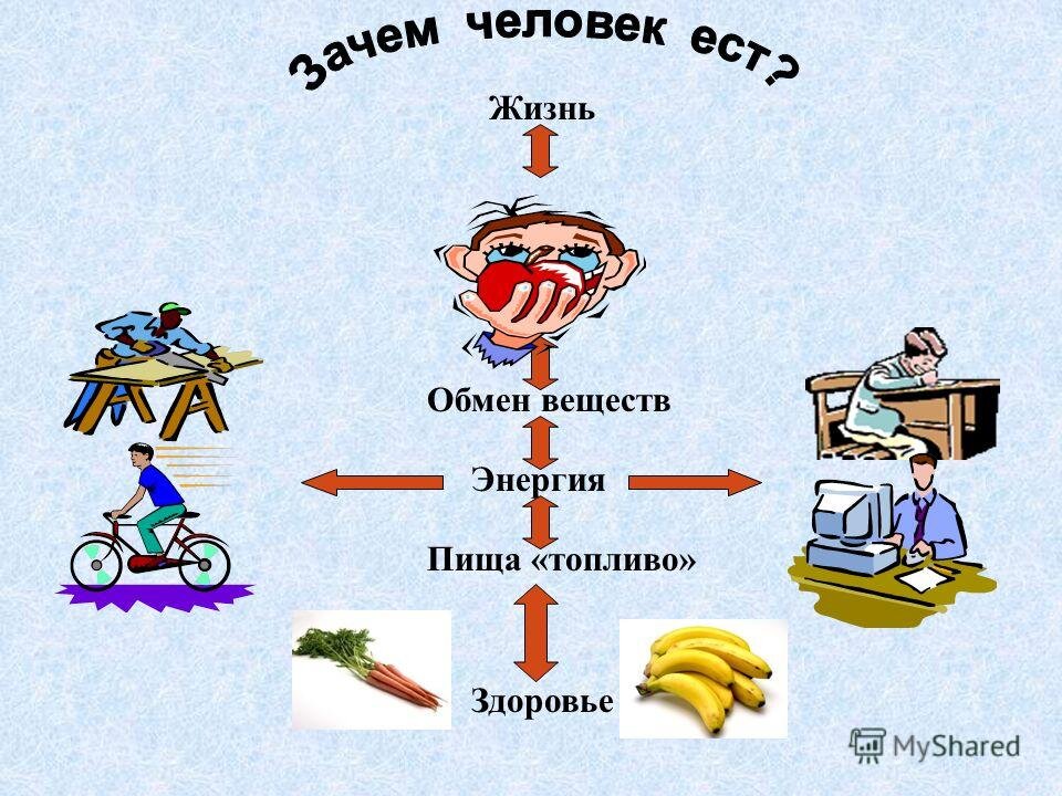 Что надо для энергии. Еда источник энергии для организма. Пища источник энергии для человека. Питание и энергия человека. Энергия источника питания.