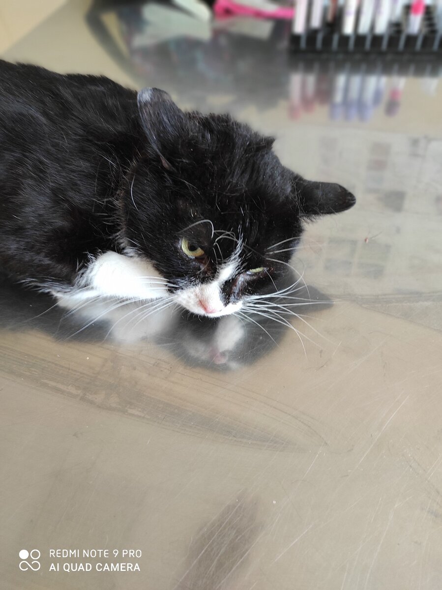 Друзья помогите пожалуйста  волонтеру закрыть долг, в клинике