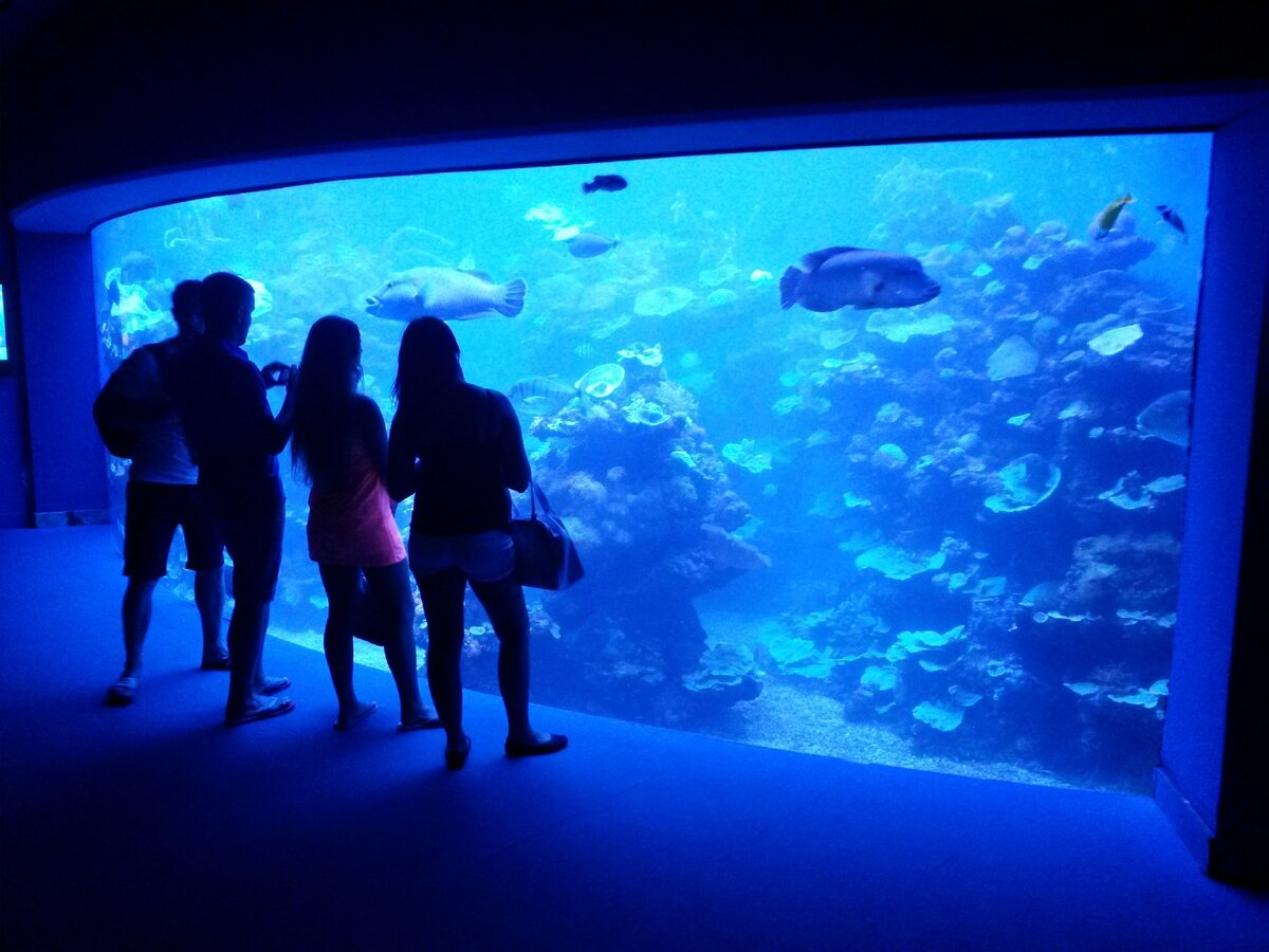 Аквариум в Пальме-де-Майорка