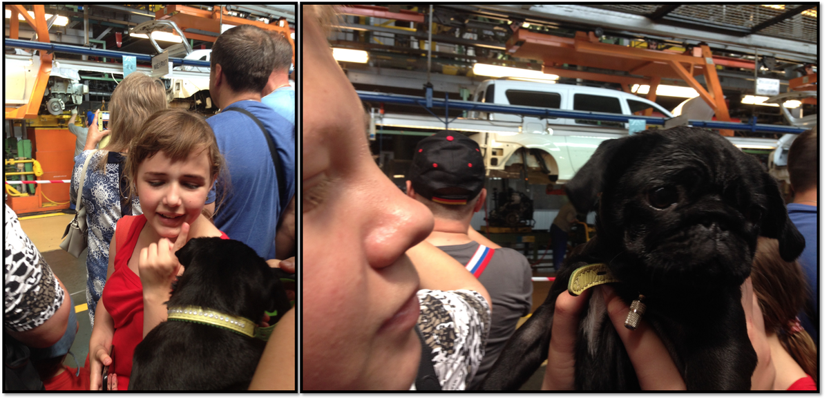 Дети со всех сторон просили подержать мопса. Та и не сопротивлялась. Фото автора