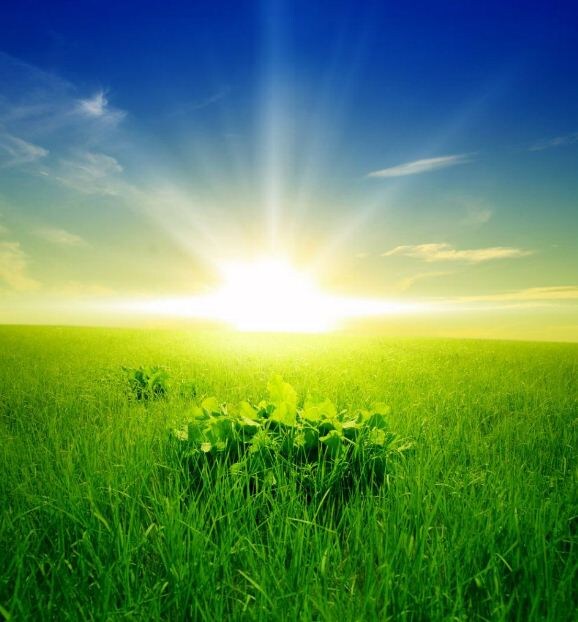 Звезда рождающая жизнь