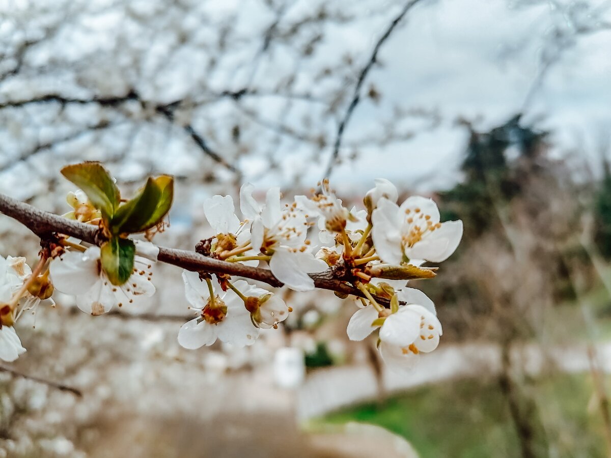 Севастополь, весь город