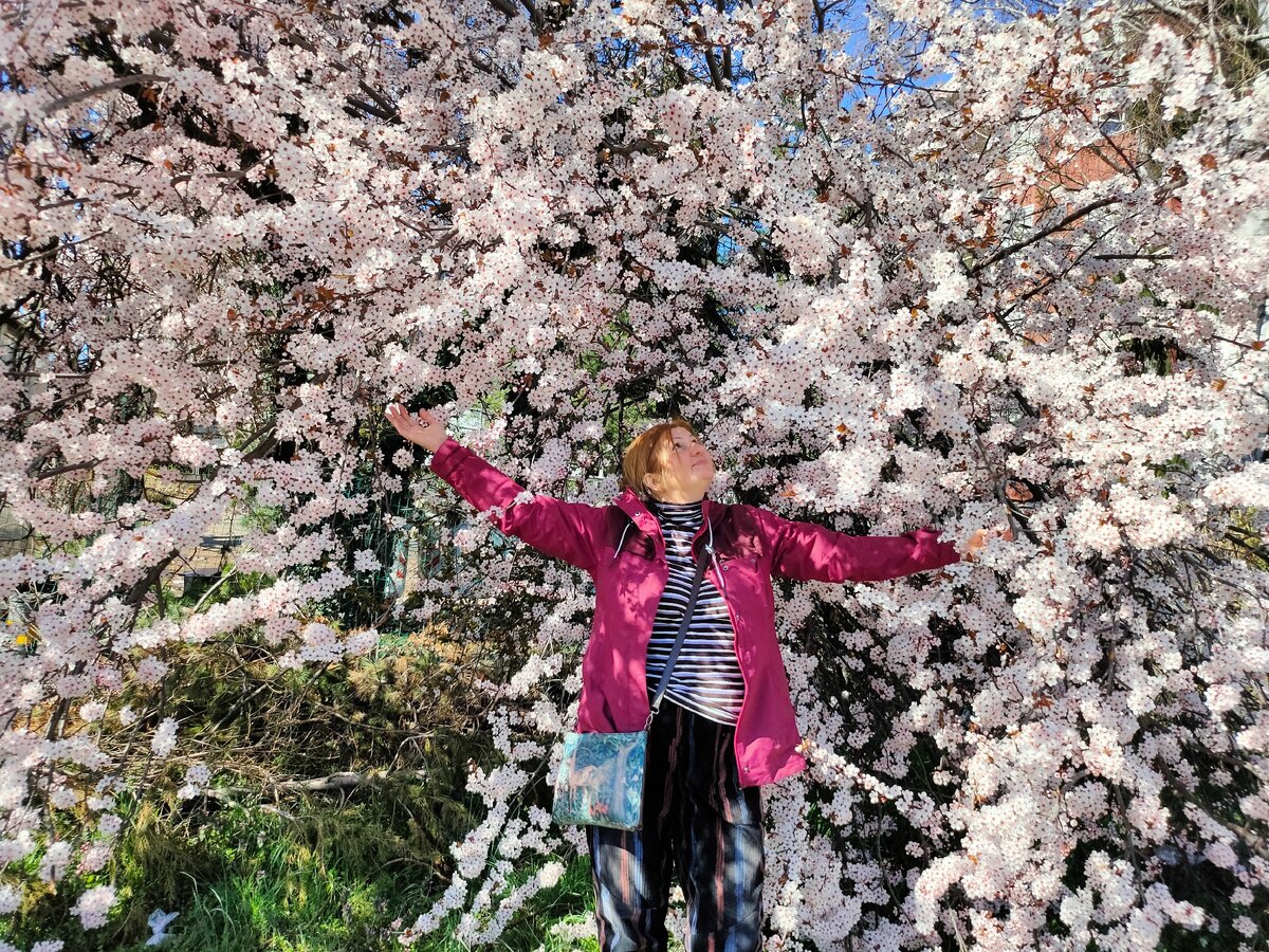 Цветение в Варезе