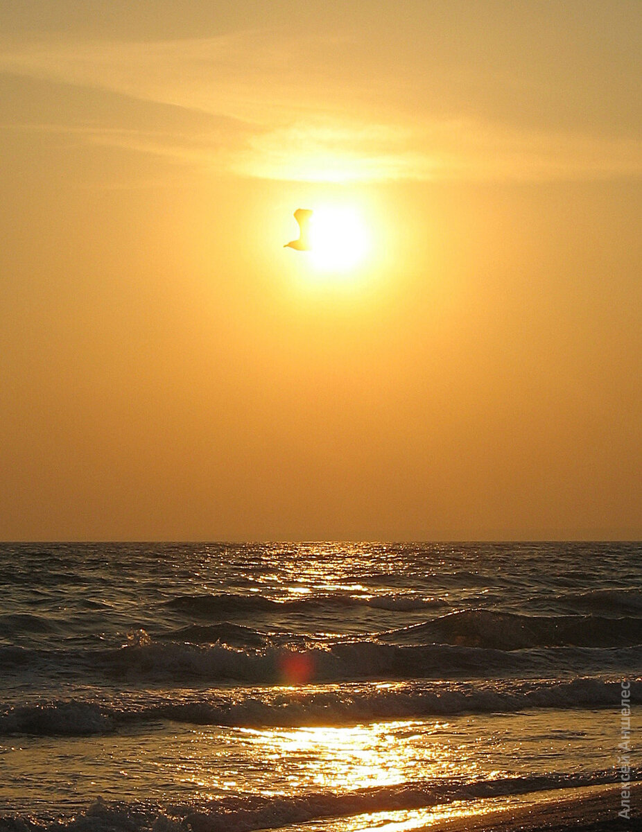 Фото: личный архив