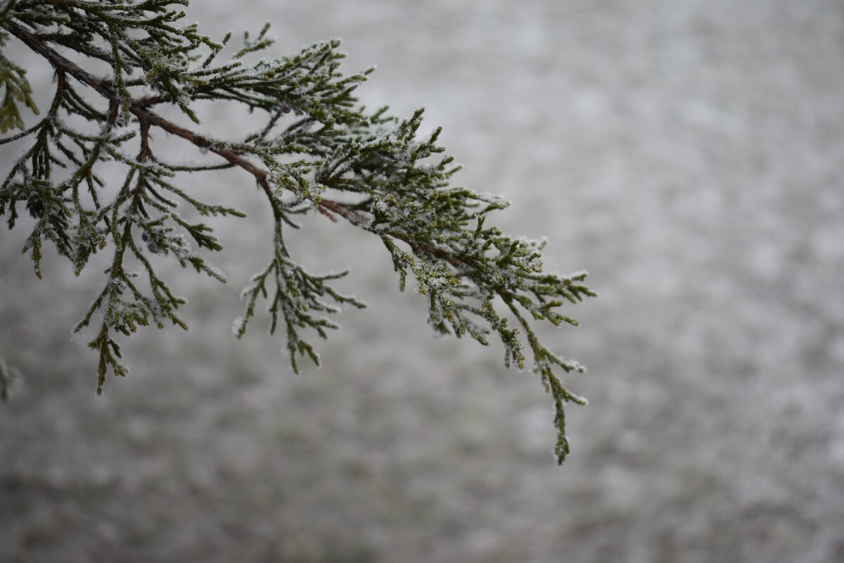 все мои авторские фото можно купить со скидкой 50%