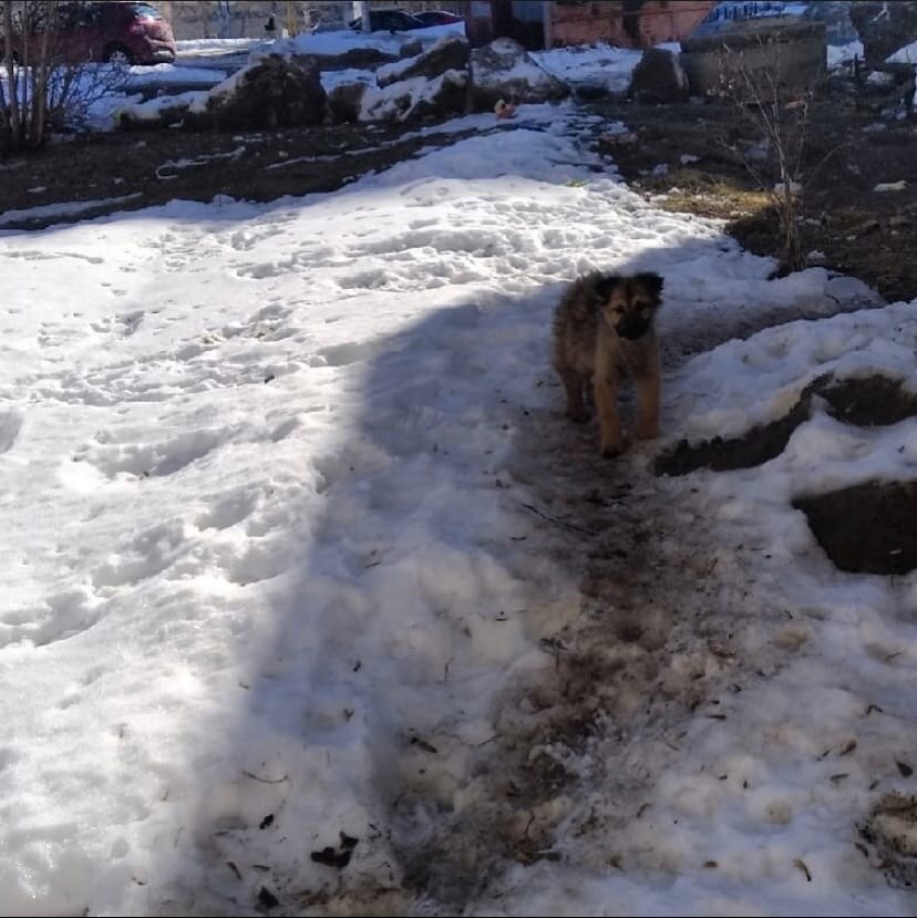 Дети как могут так выживают.