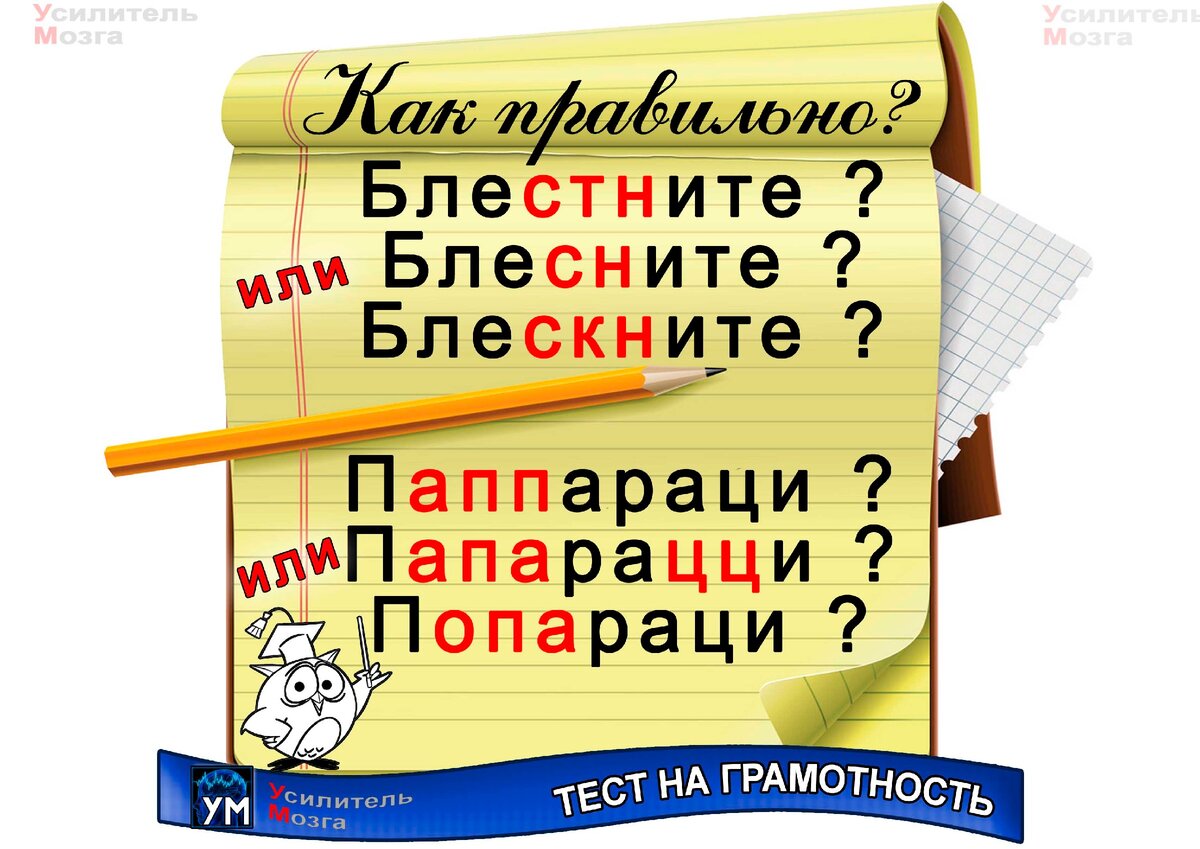 #тесты по русскому языку #тест на грамотность 