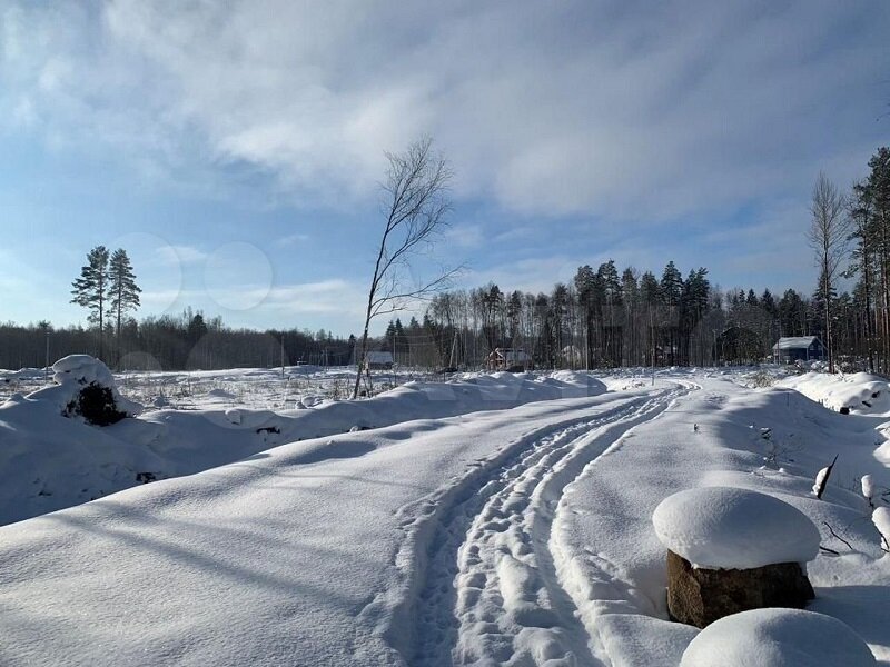 В Новом Токсово выставлен на продажу участок под коттеджный поселок – 30 га у озера Воякоярви. #ленинградская область  #ленобласть #новое токсово  #озеро воякоярви  #снт защита  #лесной кодекс  #синочкин