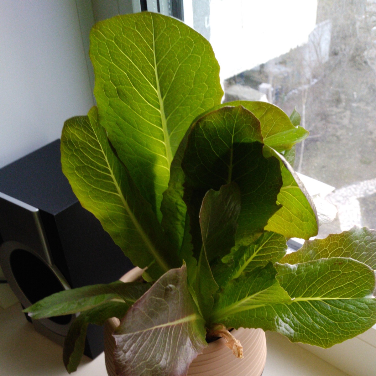 Фото из личного архива автора