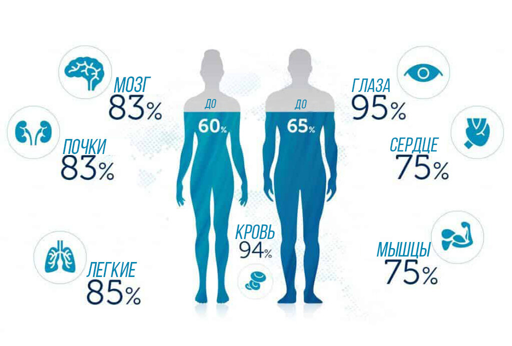 В среднем человек на 60-65% состоит из воды