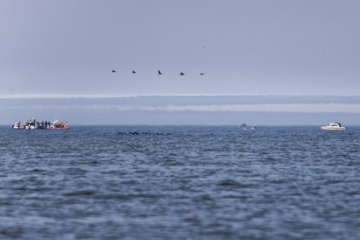 Фото: Александр Подгорчук 
