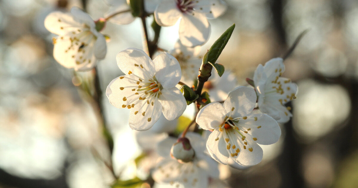 Фото: u.freepik.com