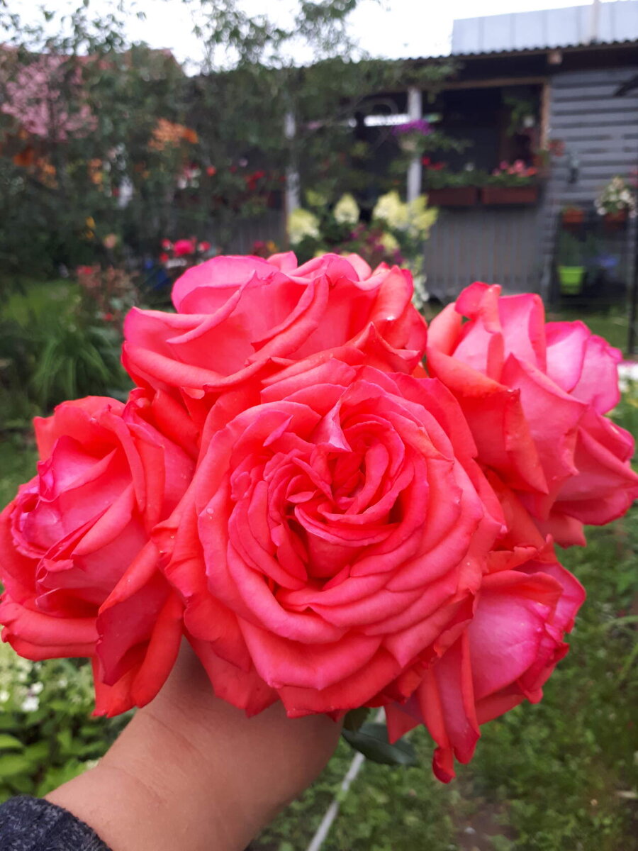 Подписывайтесь на мой канал!