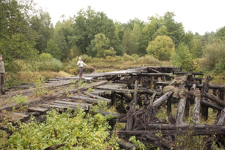 Курша 2 фото до и после пожара