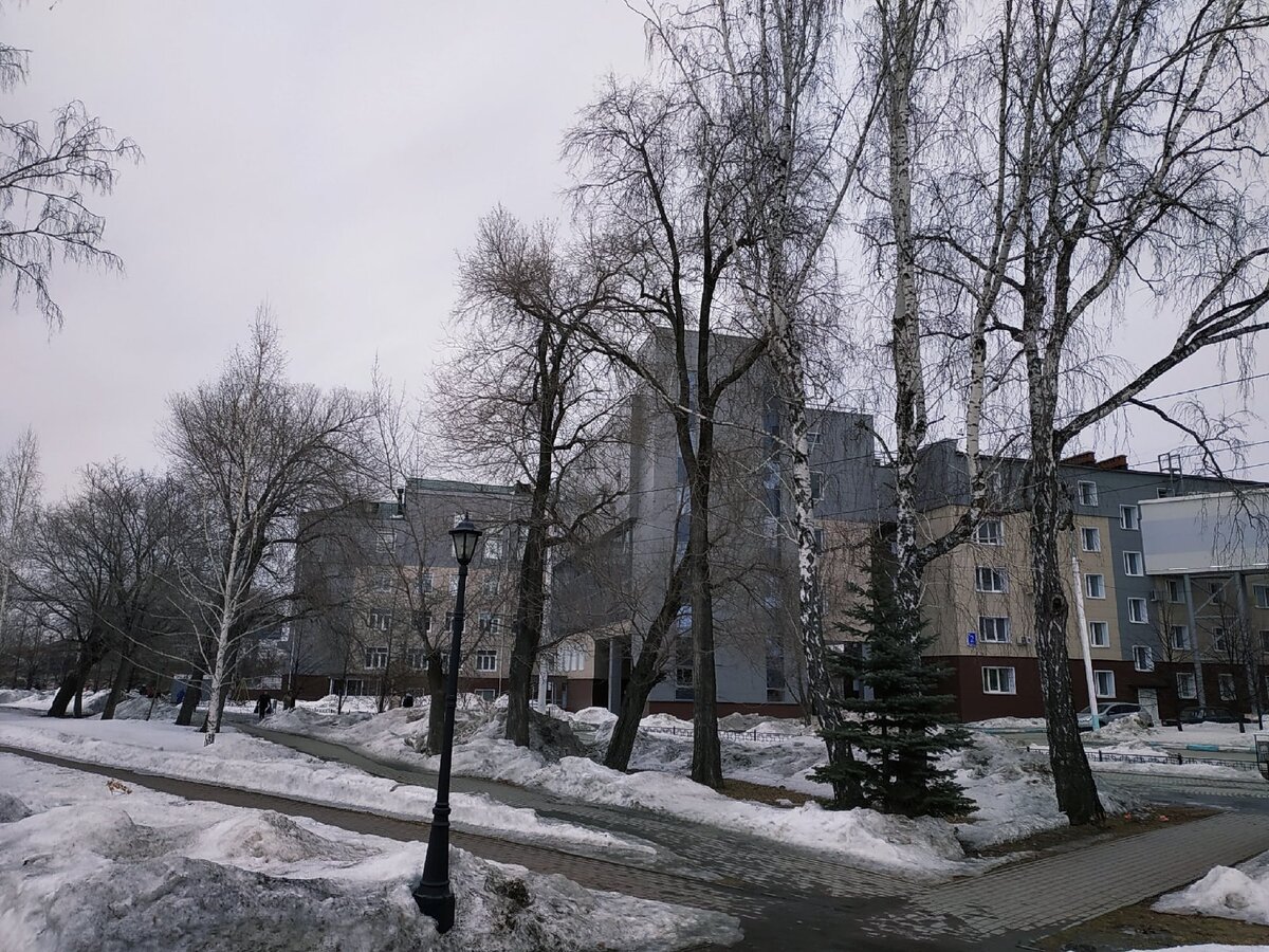 Доброго здравия, читатель!