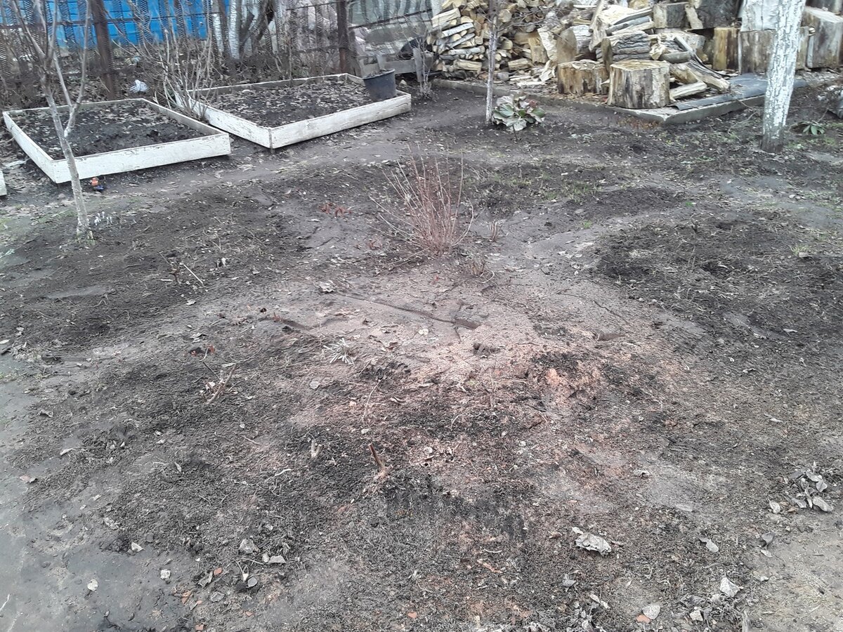 Начало апреля - снег сошёл