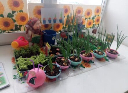 Молодая свежая зелень через неделю после посадки