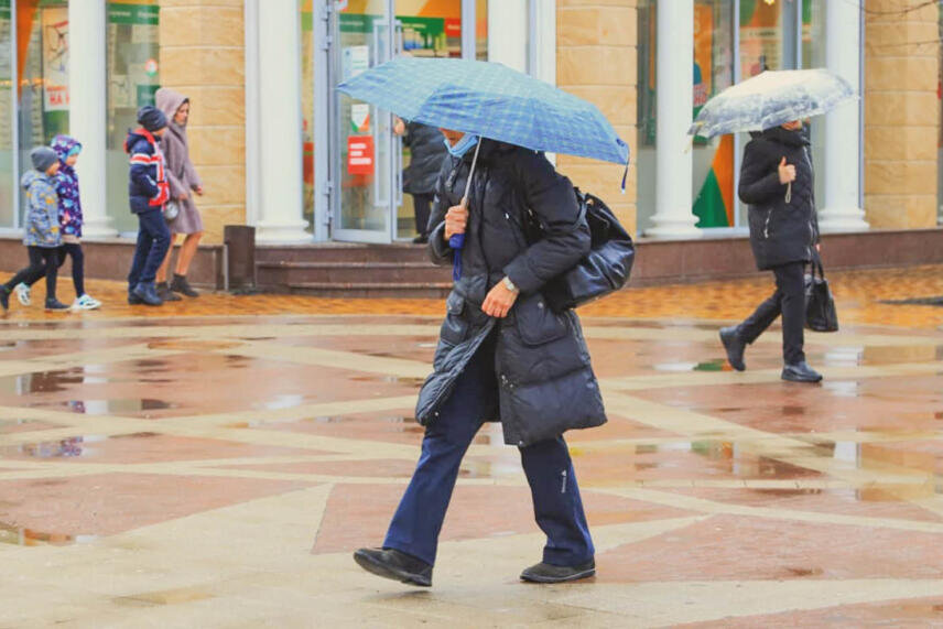 Фото: Наталья Сомова 