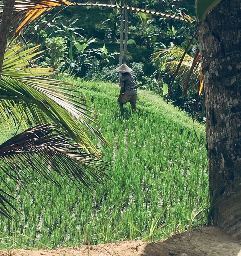 Фото © Костырин Антон, 2021